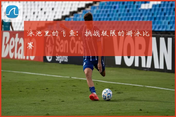 泳池里的飞鱼：挑战极限的游泳比赛