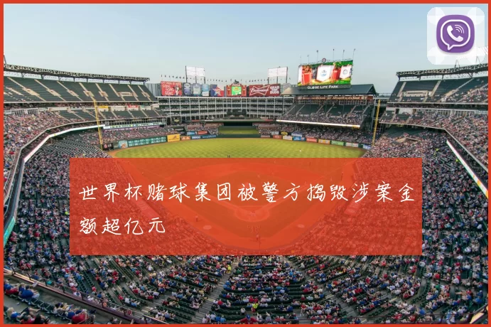 世界杯赌球集团被警方捣毁涉案金额超亿元