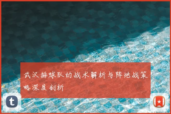 武汉排球队的战术解析与阵地战策略深度剖析