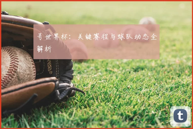 号世界杯：关键赛程与球队动态全解析