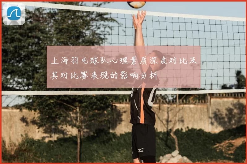 上海羽毛球队心理素质深度对比及其对比赛表现的影响分析