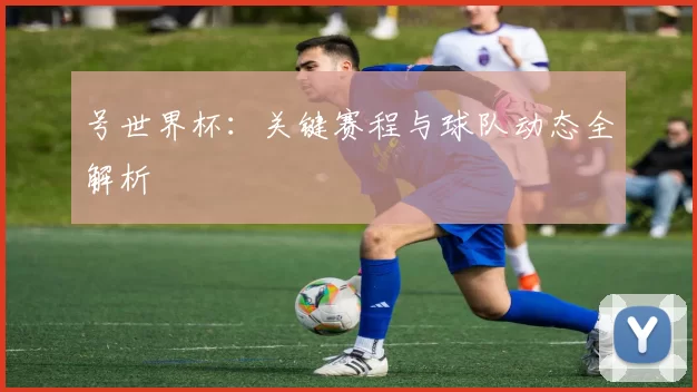 号世界杯：关键赛程与球队动态全解析