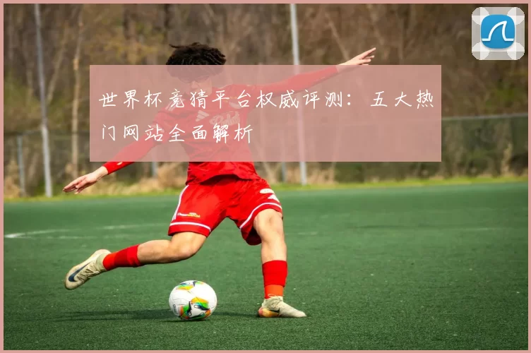 世界杯竞猜平台权威评测：五大热门网站全面解析