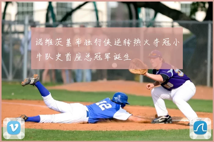 诺维茨基率独行侠逆转热火夺冠小牛队史首座总冠军诞生
