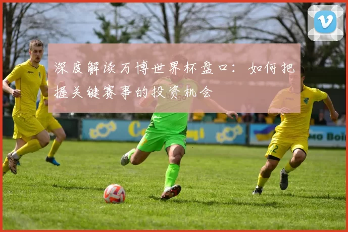 深度解读万博世界杯盘口:如何把握关键赛事的投资机会