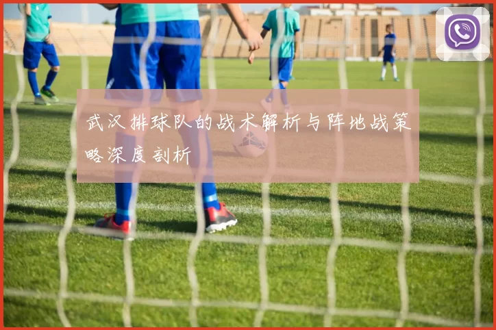 武汉排球队的战术解析与阵地战策略深度剖析