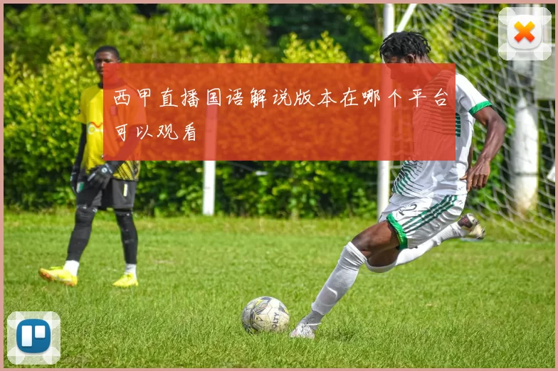 西甲直播国语解说版本在哪个平台可以观看
