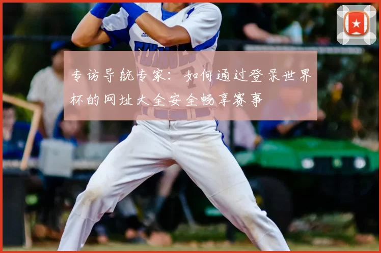 专访导航专家：如何通过登录世界杯的网址大全安全畅享赛事